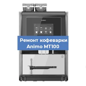 Замена прокладок на кофемашине Animo MT100 в Красноярске